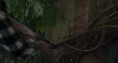 (thunder booming) - Made in Italy