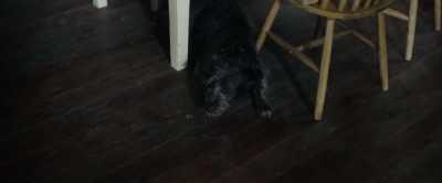 (THUNDER BOOMS) (SUGAR WHINES) - Crawl