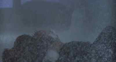 [THUNDER CLAPPING] - Poltergeist III