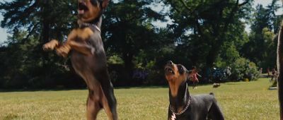 THUNDER LAUGHS That was hilarious Marmadonk - Marmaduke