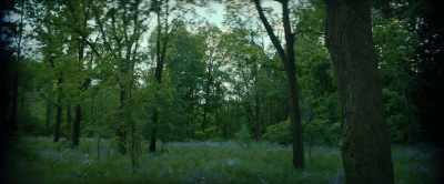 (thunder roaring) - Young Werther