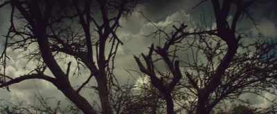 (thunder rumbles) - The Furnace