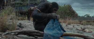 [thunder rumbles] - Kingdom of the Planet of the Apes