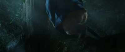 (Thunder rumbling) - Paddington in Peru
