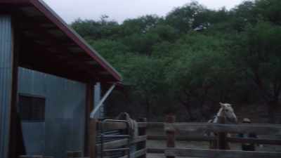 [thunder rumbling] - A Cowboy Christmas Romance