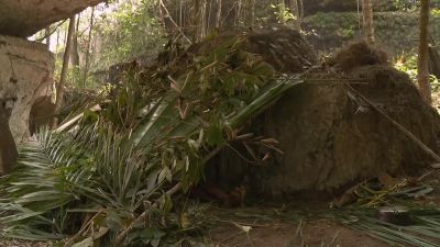        [thunder rumbling] - Naked and Afraid