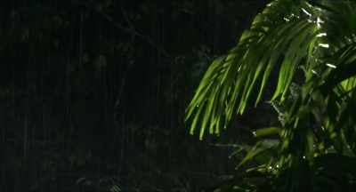 (THUNDER RUMBLING) - The Rescue