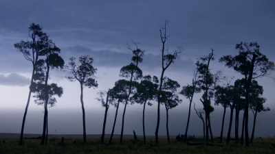 (THUNDER RUMBLING) - Dynasties