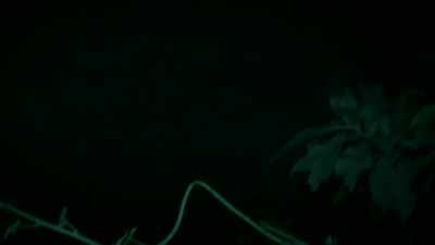 [ THUNDERCLAP ] THE INFRARED CAMERA ALLOWS US - Expedition Mungo