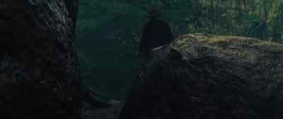 [thunderclaps in distance] - The Lost City of Z