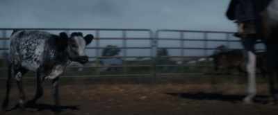 (thundering) - Roped