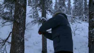 [thunking] - Life Below Zero: Next Generation