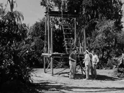 (Thurston)
How's he doing? - Gilligan's Island
