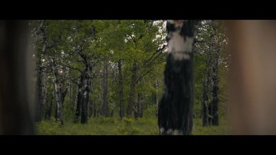 [thwack] - Prey