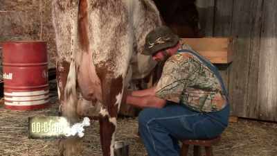 -[tickle] one minute
left, daniel.
-[richard] I hear splashing, - Moonshiners: Master Distiller
