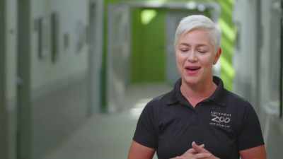 Tiffany: I'm sure willie
and marley will be huge requests - Secrets of the Zoo