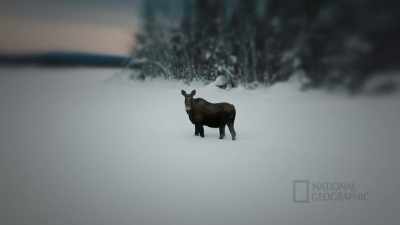 TIG: Every day, we're
interact and intertwining with - Life Below Zero: First Alaskans