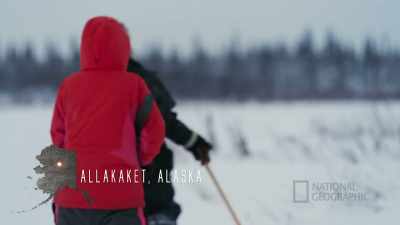 TIG: We haven't been
seeing any ptarmigan, - Life Below Zero: First Alaskans