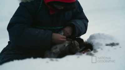 TIG: When we turn it
into a pot of soup, you know, - Life Below Zero: First Alaskans
