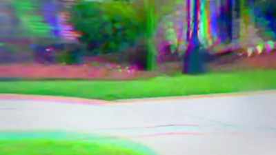 [ Tiger growling ] - Neighborhood Wars