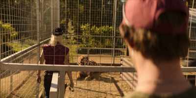 [tiger growls] - Joe vs Carole