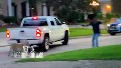 [ Tiger growls ] - Neighborhood Wars