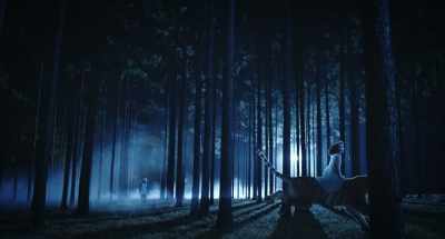 [tiger roars] - The Tiger Rising
