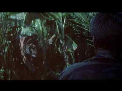 Tiger! - Hearts of Darkness: A Filmmaker's Apocalypse