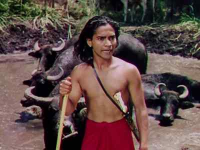 Tiger's coming. - Jungle Book