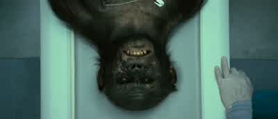 Tighten your masks. - Rise of the Planet of the Apes