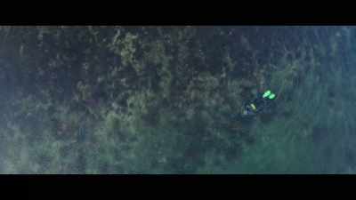 ? Till almost dawn ? - Billy & Molly: An Otter Love Story