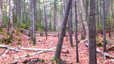 [Tim] We were sent photographs
from a hiker who was - The Disappearance of Maura Murray