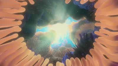 Time for school! - Finding Nemo