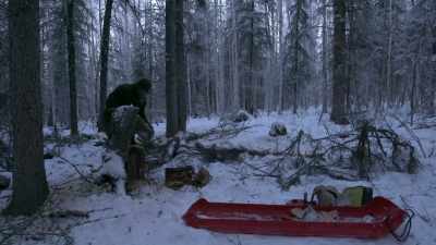 Time to start loading
up this sled and haul this - Life Below Zero: Next Generation