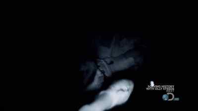 TIME TO GET UP INTO THE TREE. - Man vs. Wild