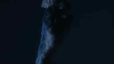 Time's up. She's been discovered. - Prehistoric Planet