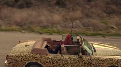 TIMON: Look, kid, - Black Is King