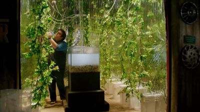 "Timothy Armstrong
Commemorative Greenhouse"? - Scorpion