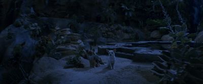 Tiny but mighty - Beverly Hills Chihuahua