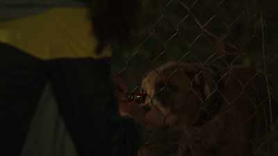 [tires squeal] - The Chi