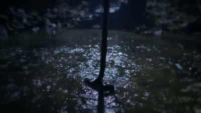 -Tirtha knew that if he dug the
grave underneath that stream - Krishnas: Gurus. Karma. Murder.