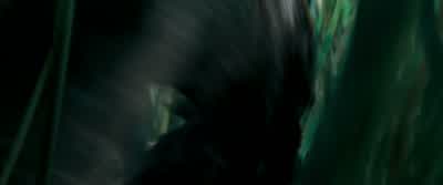 TlC'TlC: Run! - 10,000 BC