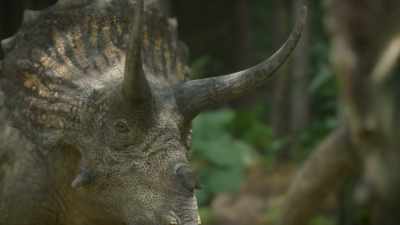 To a female, however, - Prehistoric Planet