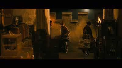 ...to actually perform under these circumstances. - Harry Potter and the Chamber of Secrets