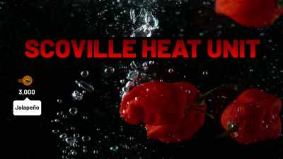 To add a little more context, - Superhot: The Spicy World of Pepper People
