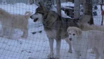 To be able to take something
that is essentially trash, - Life Below Zero: Next Generation