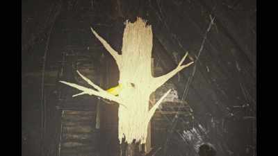 To be educated and healed in the colony. - The Wolf House