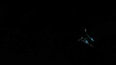 To be on the wire is life. The rest is waiting. - All That Jazz