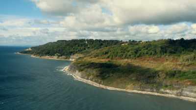 To build our case further,
we're going to analyze - Attenborough and the Sea Dragon
