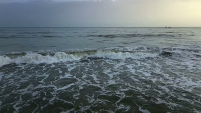 To come so far
and to do what they do, - A Year on Planet Earth